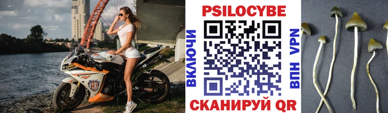 Псилоцибиновые грибы Psilocybe  Дятьково 