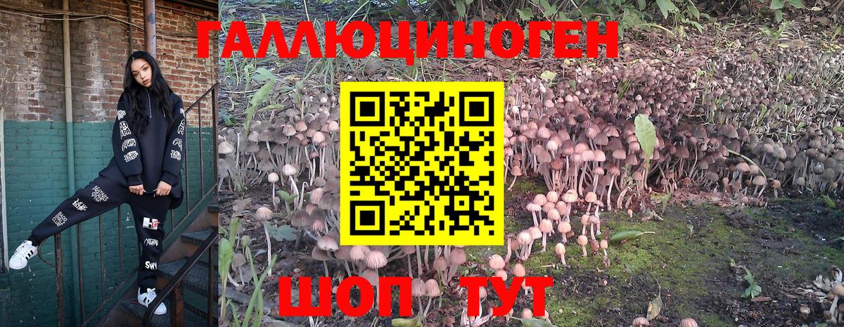 ГАШИШ  A PVP СОЛЬ   Где купить наркотики?  МЕФ кристаллы  Бошки Шишки  Гашиш  Дятьково  Вход с VPN 